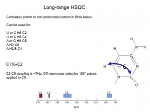 LRhsqc1