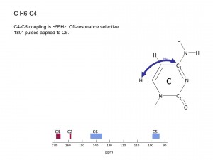 LRhsqc2