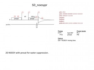 NOESY1