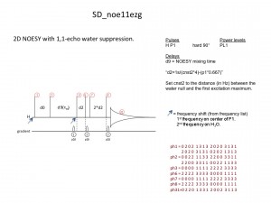 NOESY_11echo1