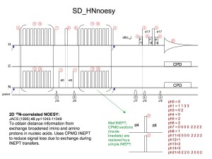 SD_HNnoesy1
