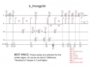 b_hncogp3d1