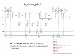 b_trhncogp3d1