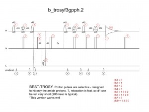 b_trosyHN1