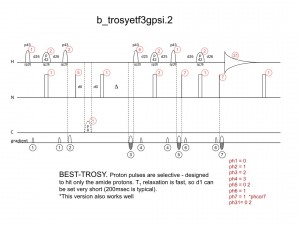 b_trosyHN2
