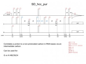 hcc_pur1