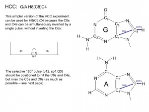 hcc_pur2