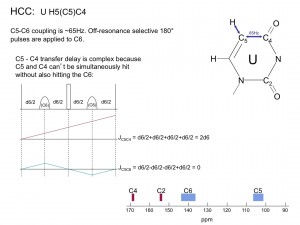 hcc_pyr2