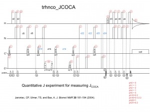 trhnco_JCOCA1