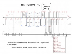 15N_R2cpmg_HC_1