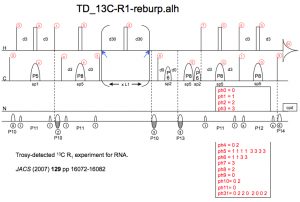 TD_13C-R1_1